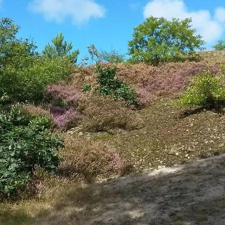 Strandslag214 *